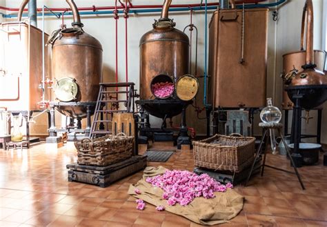 grasse perfume making.